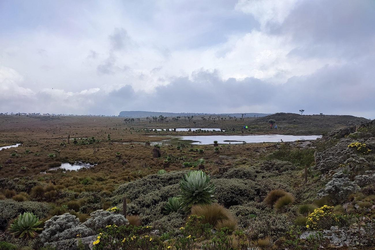 Aberdares: Caminhada guiada pelas Sete Lagoas com vistas panorâmicasAberdares: Caminhada guiada pelas Sete Lagoas com vistas incríveis