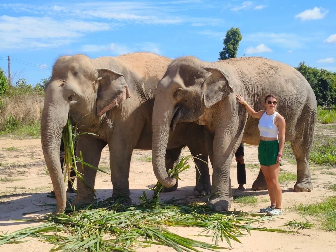 Von Siem Reap aus: Elephant Sanctuary Experience mit Transfers
