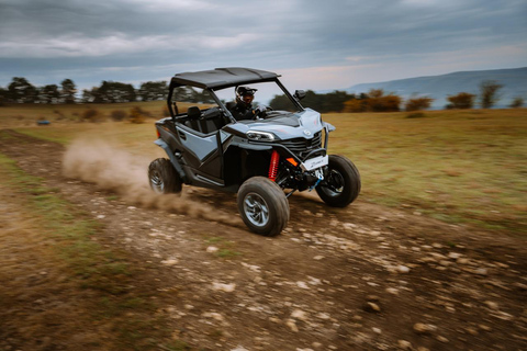 Hammamet: Premium Buggy Tour with Photo Stops