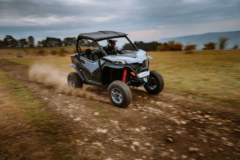 Hammamet: Premium Buggy Tour with Photo Stops