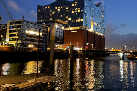 City tour through HafenCity, Speicherstadt... with a real insider!