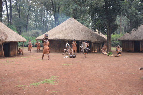 Tour del Centro delle Giraffe, dell'Orfanotrofio degli Elefanti e di Bomas Nairobi