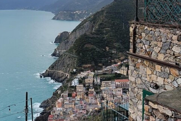 From Livorno: Accessible Cinque Terre and Pisa Private Trip