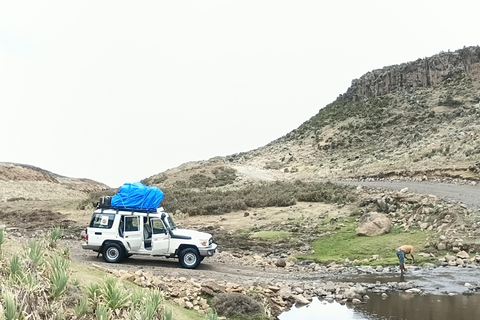 5-Day Bale mountain: wildlife hiking & Birdwatching tour
