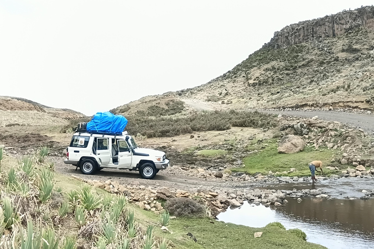 5-Day Bale mountain: wildlife hiking & Birdwatching tour
