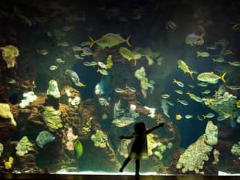 San Sebastian Aquarium Entry Ticket and City Walking Tour