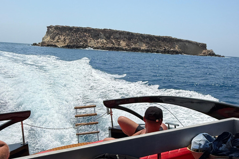 Paphos: Sea Safari Cruise with Blue Marlin Trimaran Yacht