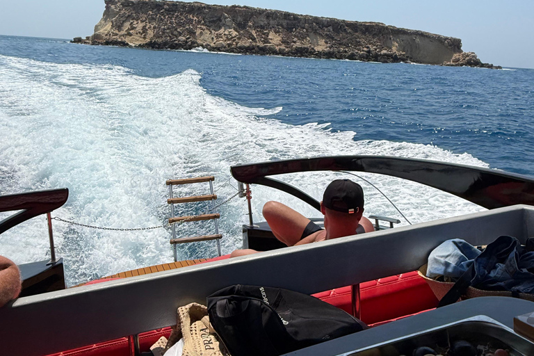 Paphos: Sea Safari Cruise with Blue Marlin Trimaran Yacht