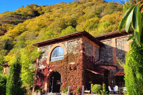 Adjara: Vineyard Tour with Wine Tasting and Lunch