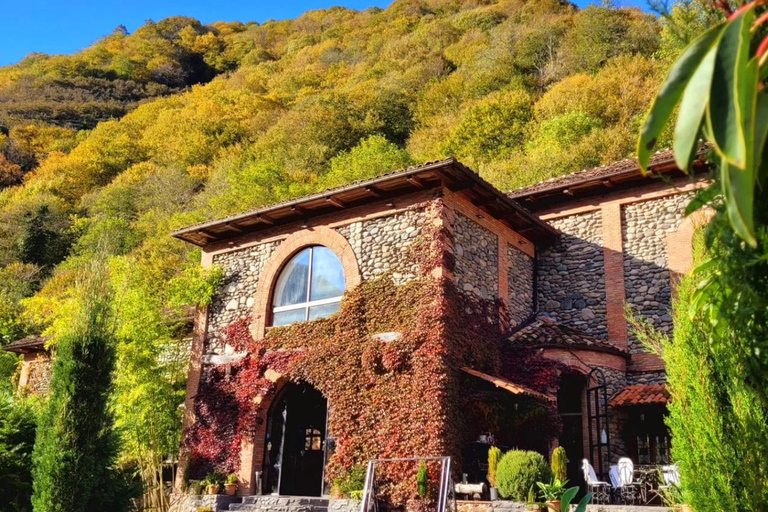 Adjara: Vineyard Tour with Wine Tasting and Lunch