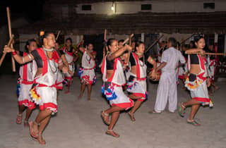 Von Kathmandu: 1 Nacht 2-Tage Chitwan Jungle Tour