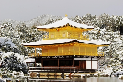 Kyoto and Nara 1 Day Bus Tour from Osaka/Kyoto Tour from VIP Lounge Kyoto - 9 AM