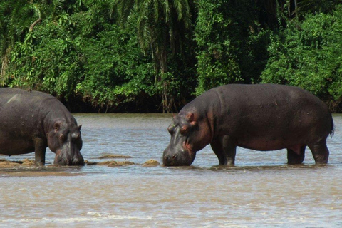 Arusha: Ngorongoro Crater 2-Day Safari with Accommodation