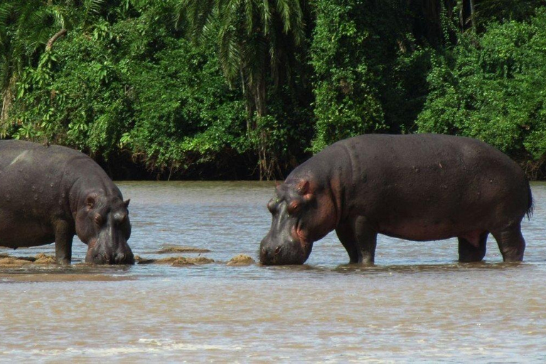 Arusha: Ngorongoro Crater 2-Day Safari with Accommodation