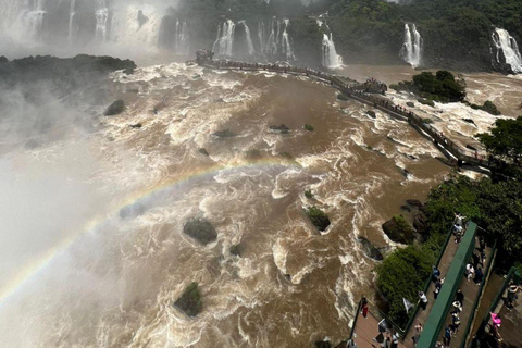 Brazil Iguazu Falls: Private Tour & Optional Macuco Safari Iguazu Falls BR: Private Tour and Optional Macuco Safari