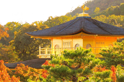 Kyoto: Kinkaku-ji Autumn Leaves Guided Tour 90 Minutes