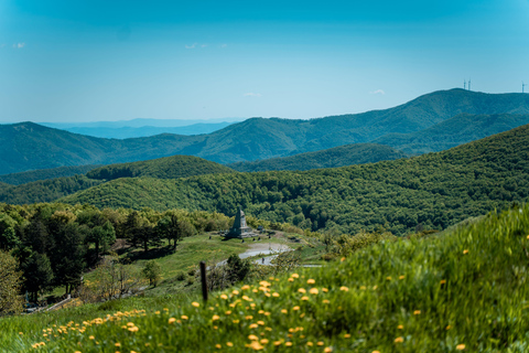 普罗夫迪夫出发的布兹卢扎与希普卡一日游最多可容纳4人