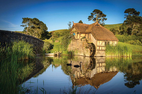 De Auckland: Traslados particulares para Hobbiton com tour em grupo