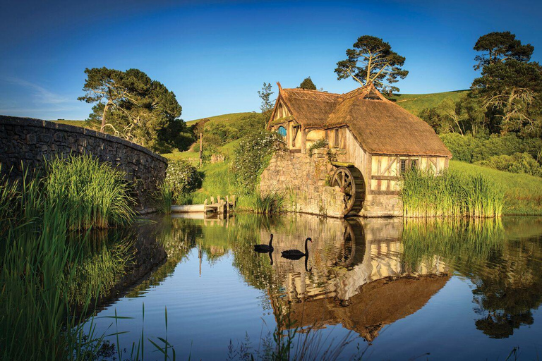 De Auckland: Tour particular exclusivo em HobbitonTransporte particular e tour particular em Hobbiton