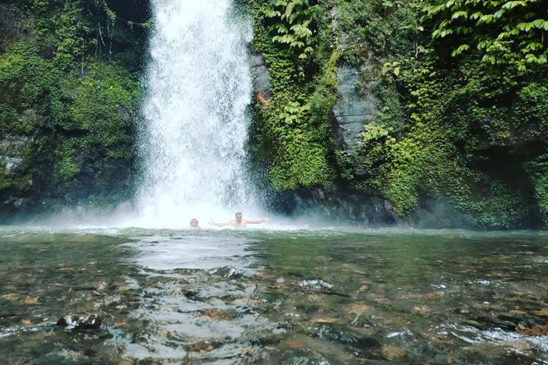 Bali: Discover Jungle Waterfalls and Rice TerracesPrivate Tour with Entry Tickets