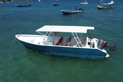 San José: Isla Tortuga Day Trip with Snorkeling & Lunch