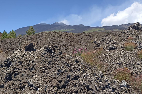 Catania: Guided Tour of Etna with Farm Visit & Wine Tasting Guided excursion on Etna from Catania with typical tasting