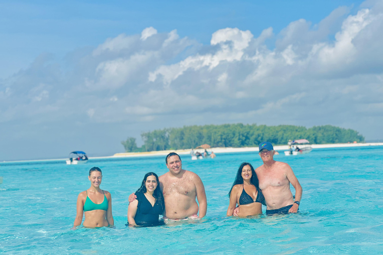 Mnemba delfin &amp; snorkling: från matemwe, pwani, kwingwa, Uroa