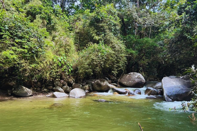 Minca Jungle Trek: Rivers, Tayrona Trails & Cacao Forest