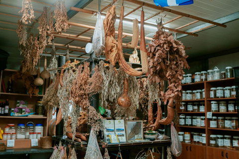 Myths, Waves & Wine: Cyprus in a Day