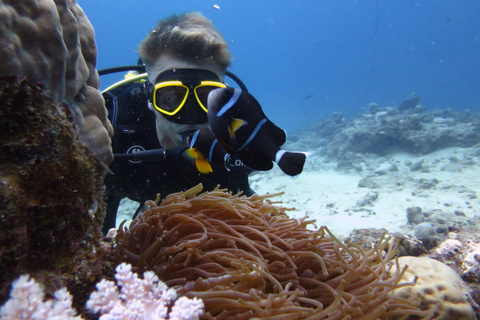 Mauricio: aventura de buceo de 3 horas en la costa esteMauricio: aventura de buceo de 3 horas en la costa oeste