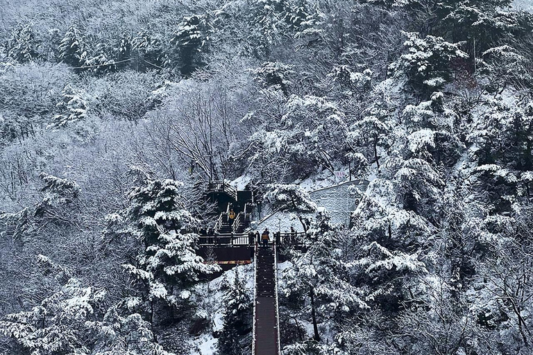 Gamaksan & IceWall Cafe & Eunpyeong HanokVillage & Jingwansa Depart from Hongik Univ. Station Exit 3