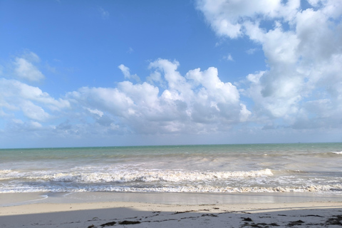 Miami: visita delle Keys in Mustang decappottabile in francese per un giornoMiami: tour delle Keys in Mustang decappottabile in francese, di un giorno