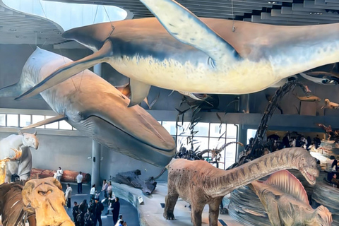 Shanghai Natural History Museum Entry Ticket