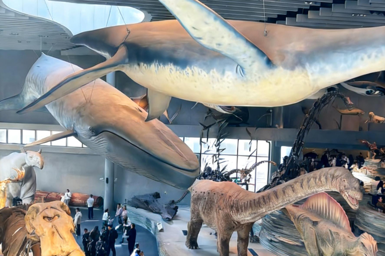 Shanghai Natural History Museum Entry Ticket