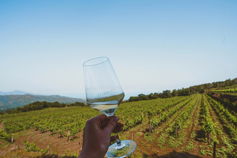 Etna + Wine Tasting Experience in a Winery and Lunch included Etna + Wine Tasting Experience in a Winery with Lunch included