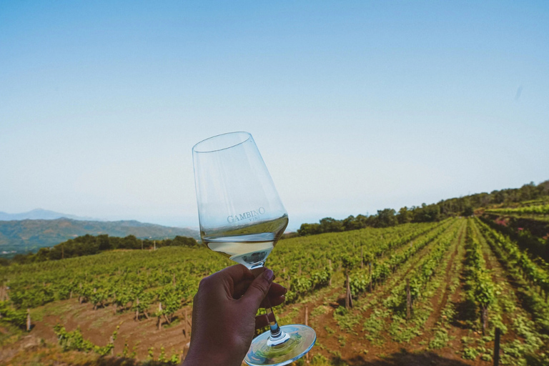 Etna + Wine Tasting Experience in a Winery and Lunch included Etna + Wine Tasting Experience in a Winery with Lunch included