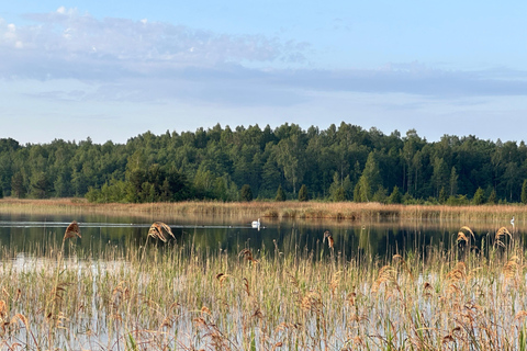Sunrise Tour To Great Kemeri Bog