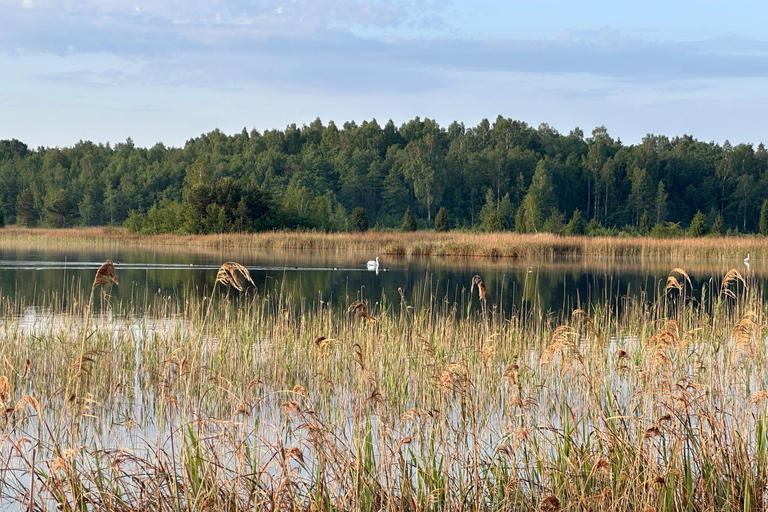 Sunrise Tour To Great Kemeri Bog