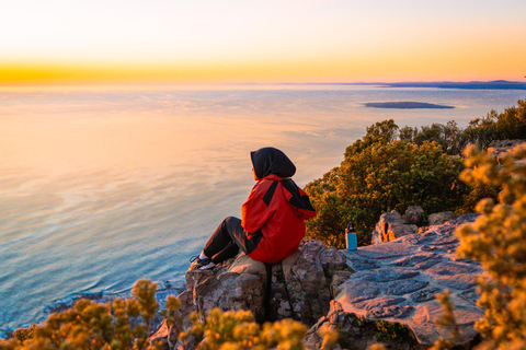 Cape Town: Lion's Head Hike with a Content Creator