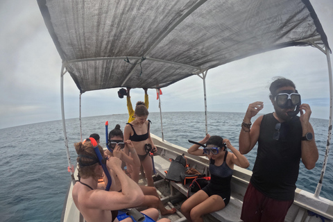 Mirissa: Turtle Snorkeling Experience with Boat Ride
