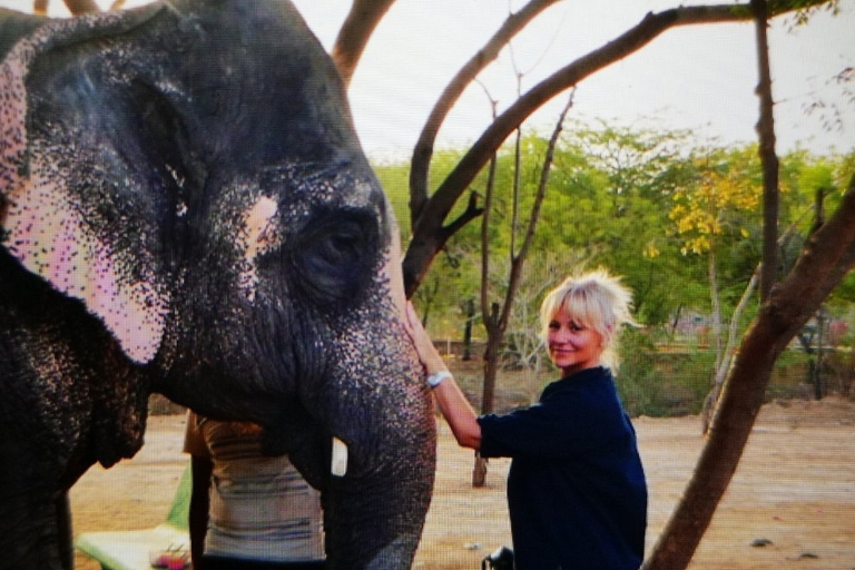 Jaipur: Entrada al Santuario de Elefantes con traslados