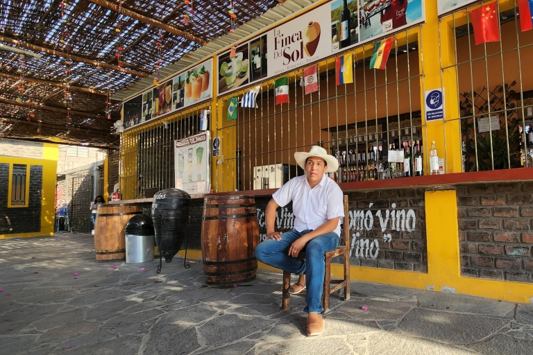 Lima: volledige dagtour naar Paracas, wijngaarden en Huacachina