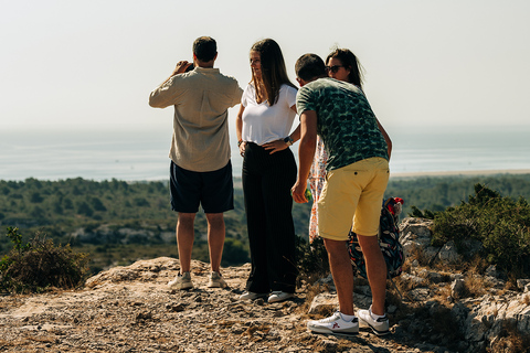 Guided Tour of the Estate &amp; Tasting of 3 wines