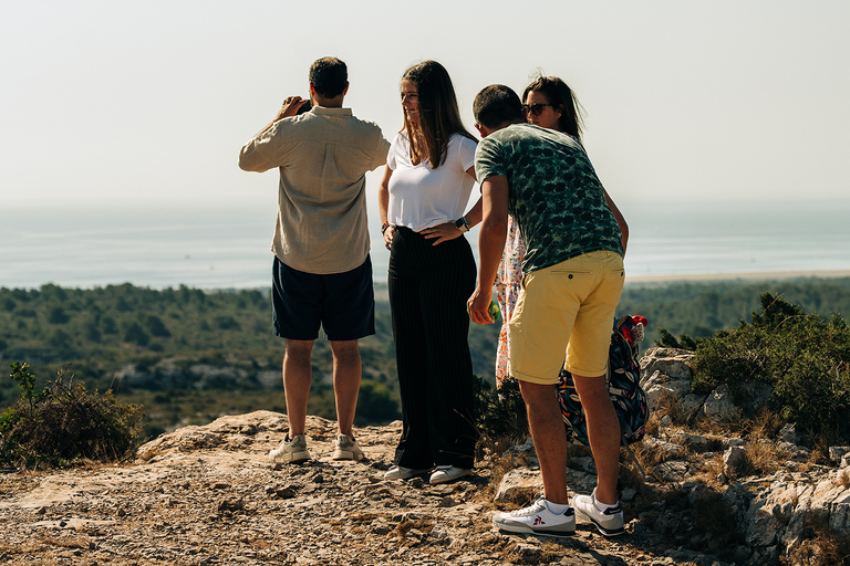 Visita guiada a la finca y cata de 3 vinos