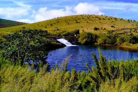 Fauna salvaje de Sri Lanka: tour de lujo de 10 días con todo incluido