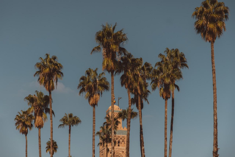 Marrakech Hidden Gems: Vintage 1h30 Sidecar Guided Tour