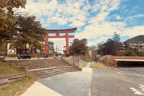 Tour privato di un giorno a Nikko con autista che parla inglese