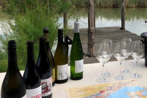 Dégustation de vins en Languedoc