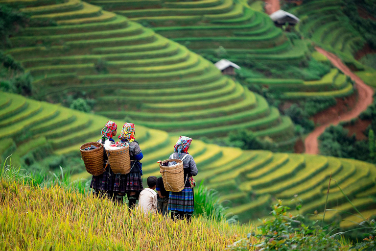 From Hanoi: Mai Chau Excursion 1 Day with Cycling and Lunch