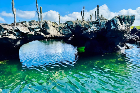 Explora Túneles Cabo Rosa en Isabela: Hele dag snorkelen